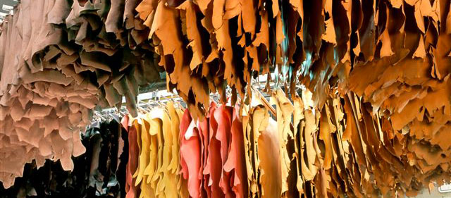 The Federation Tannerie Française de | Mégisserie Fédération la